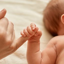 Ufficio servizi demografici e statistici