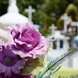 Ufficio servizi cimiteriali