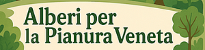 Alberi in pianura