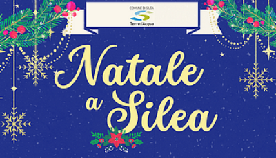 Immagine stelle di natale