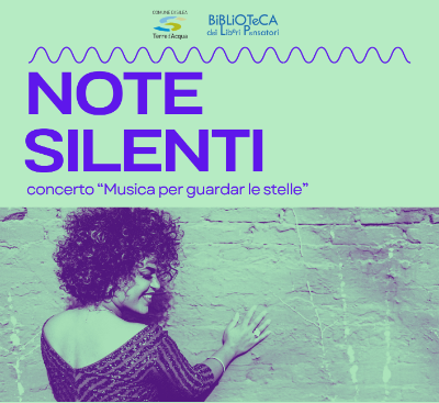 icona note silenti
