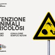 Campagna informativa zanzare