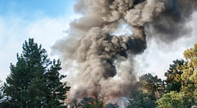 incendio bosco