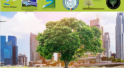 Immagine albero e grattacieli Immagine albero e grattacieli